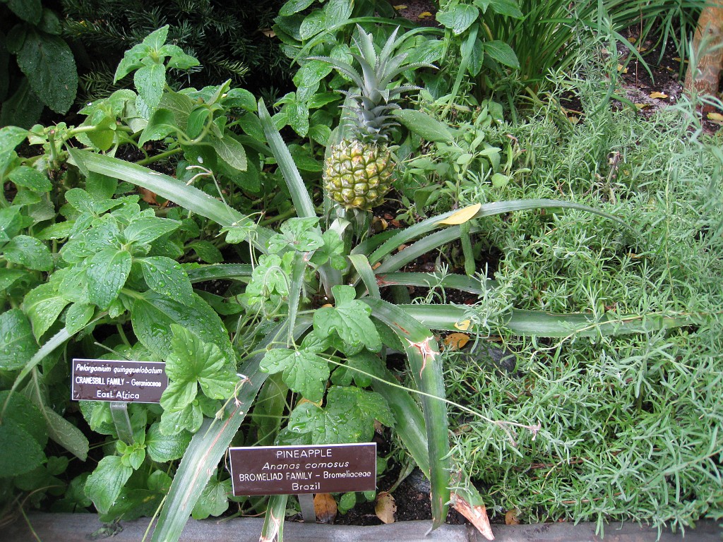Wash DC 2009 4465.jpg - A 4th of July trip to Washington DC in 2009 to see the museums, memorials and fireworks.